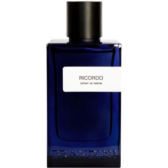 عطر ادوپرفیوم مردانه برندینی مدل Ricordo حجم 90 میلی لیتر — تصویر ۲