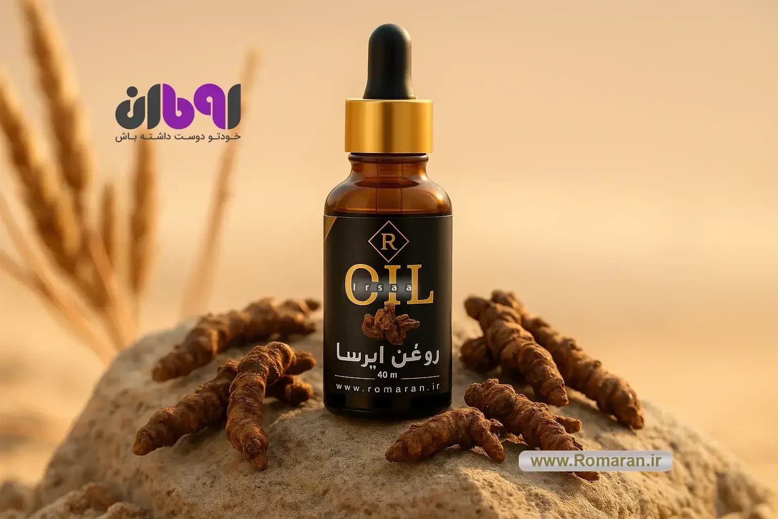 روغن ایرسا
