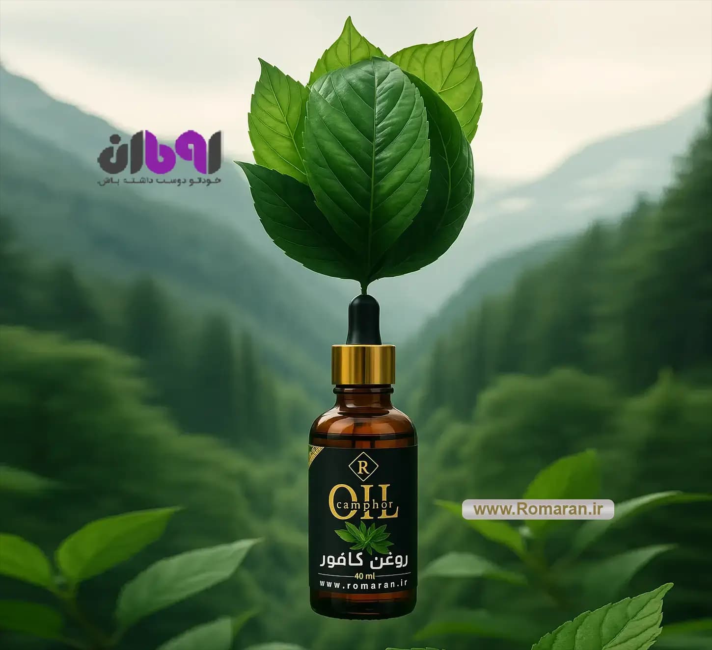 روغن کافور