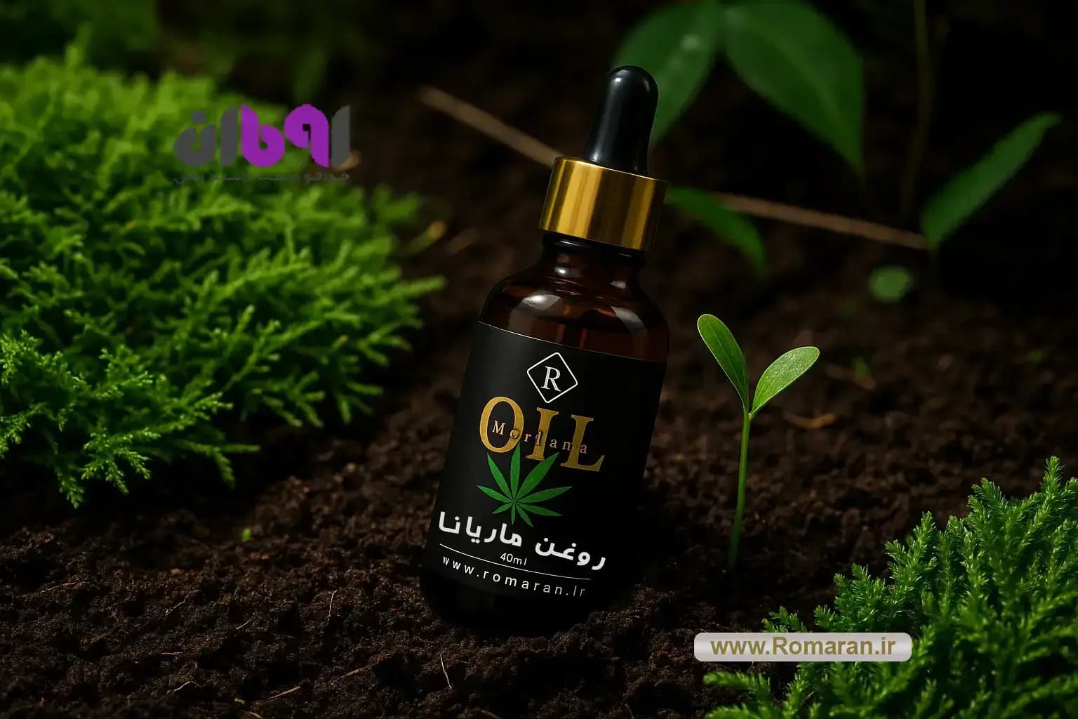 روغن ماریانا
