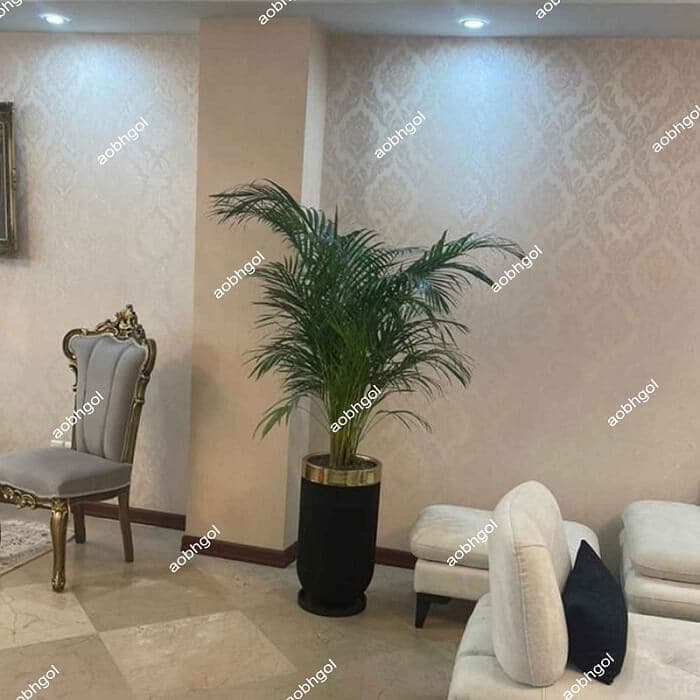 اریکا E03 — تصویر ۲