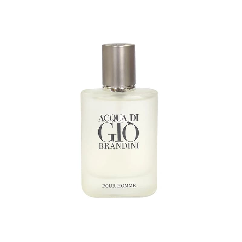 عطر برندینی اکوا دی جیو مدل Acqua Di Gio حجم33میلی لیتر — تصویر ۲