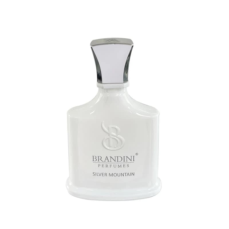 عطر جیبی برندینی مدل Silver Mountain،سیلورمونتال حجم 33 میلی لیتر — تصویر ۳