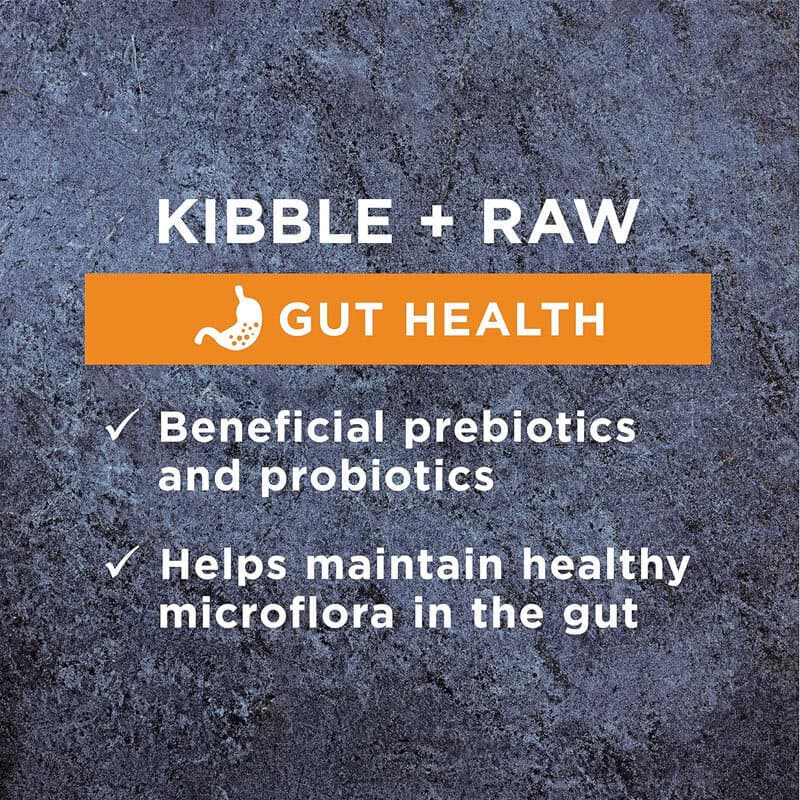 غذای خشک مناسب برای مشکلات گوارشی سگ بالغ با طعم مرغ اینستینکت Instinct Raw boost For Gut Health With Chicken وزن 1.8 کیلوگرم — تصویر ۱۰
