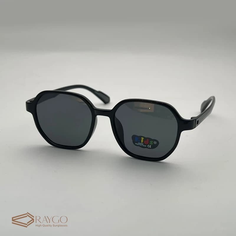 عینک آفتابی پولاروید Polaroid کد 1009 — تصویر ۲