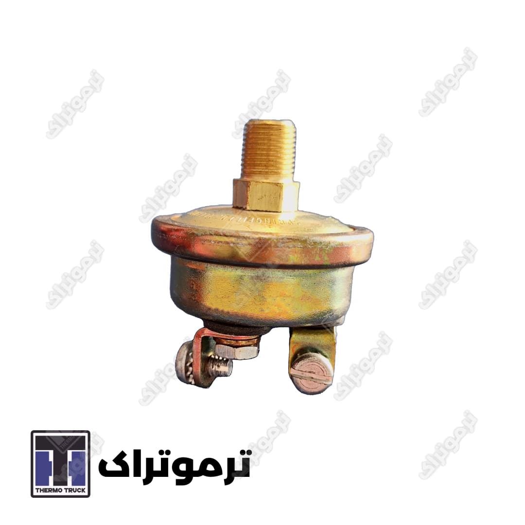فشنگی روغن دو فیش برند ترموکینگ