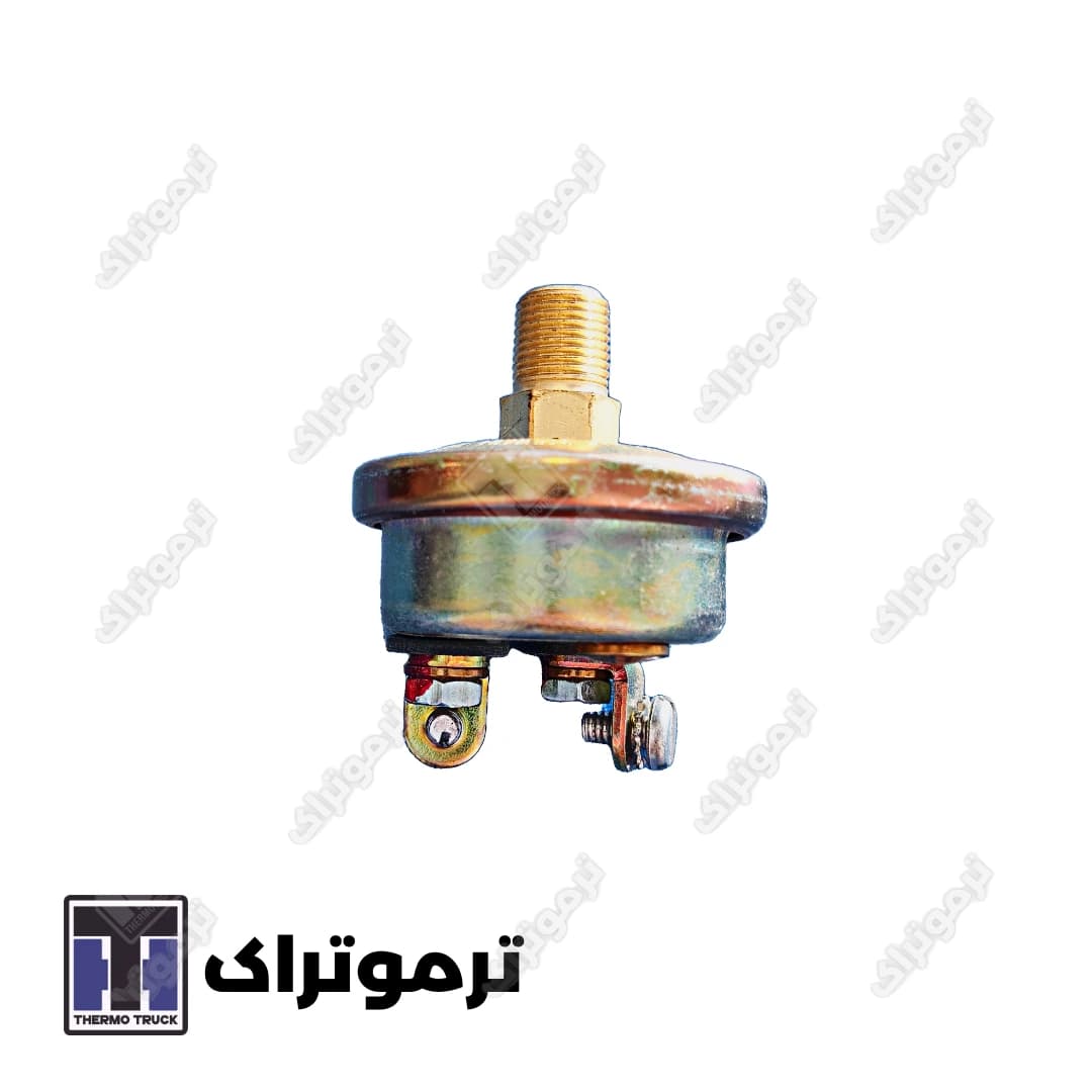 فشنگی روغن دو فیش برند ترموکینگ — تصویر ۲
