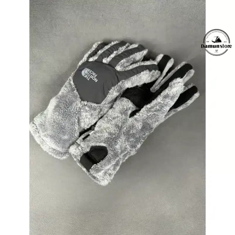 دستکش The North Face DENALI THERMAL ETIP GLOVE — تصویر ۲