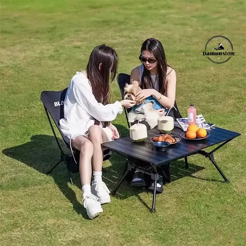 صندلی ماه تک پایه بلک داگ مدل Blackdog CBD2550JJ021 — تصویر ۳