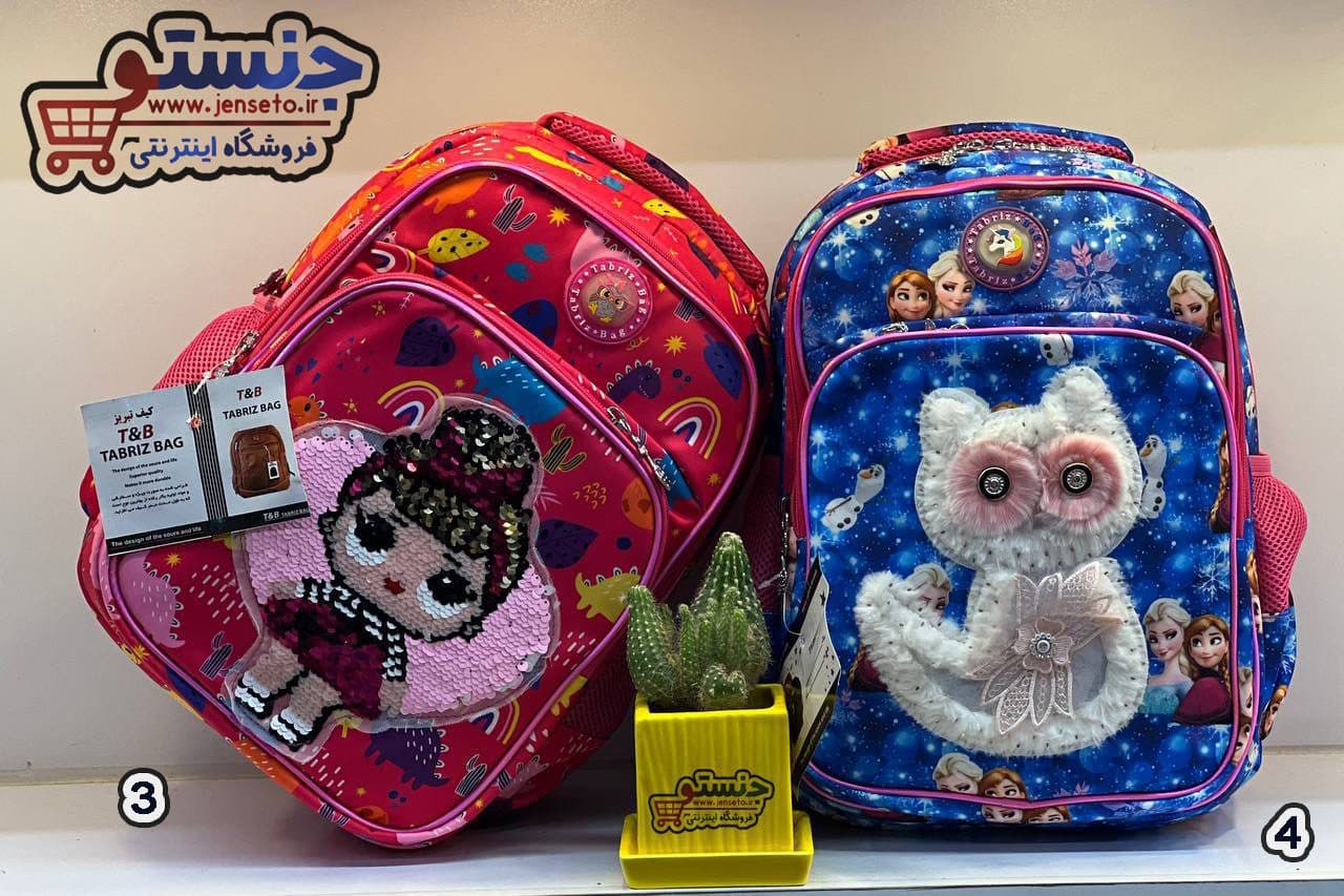 کیف مدرسه دخترانه و پسرانه خارجی عکس دار در طرح های مختلف NEW کد 1402184 — تصویر ۲