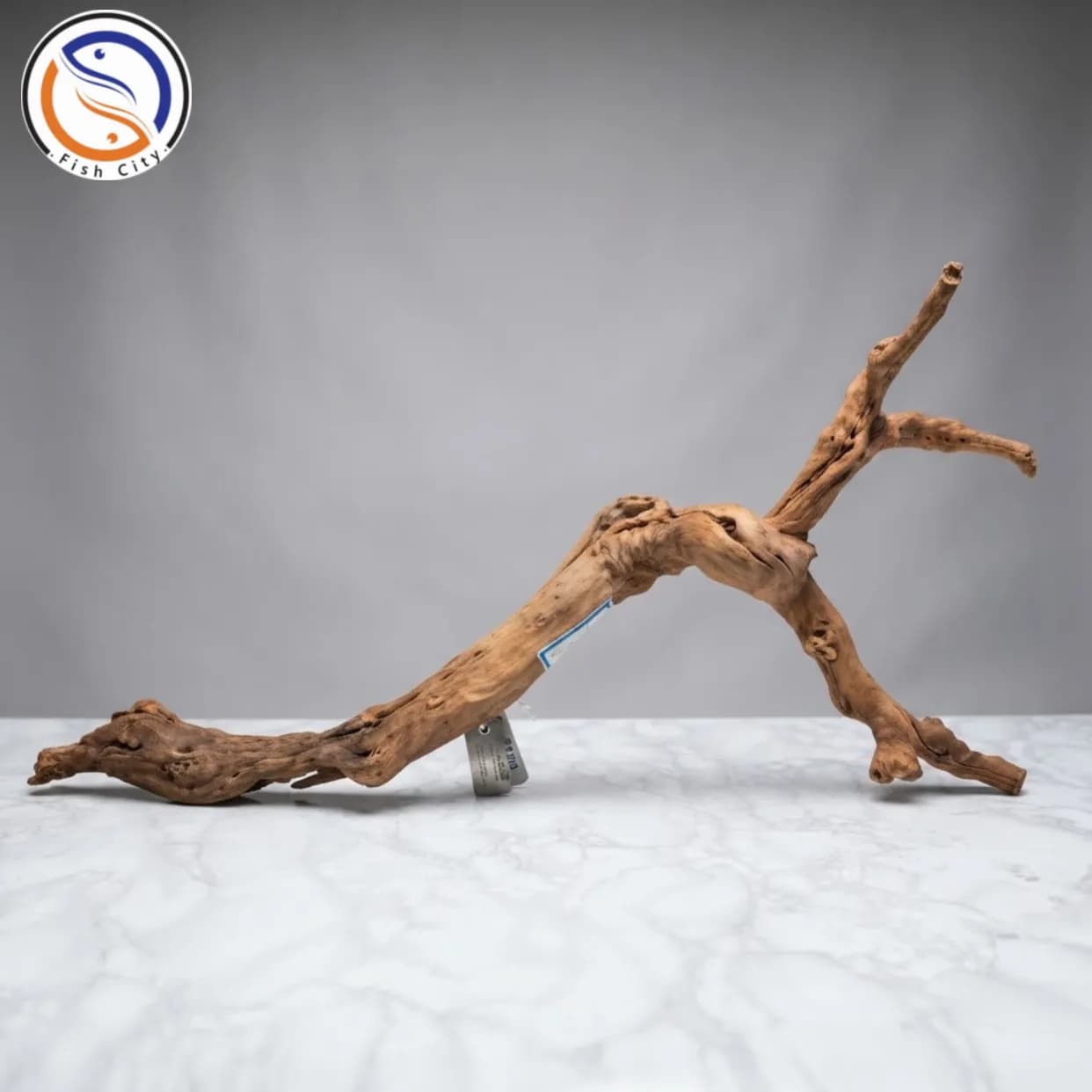 چوب آکواریوم دریفت وود کد8