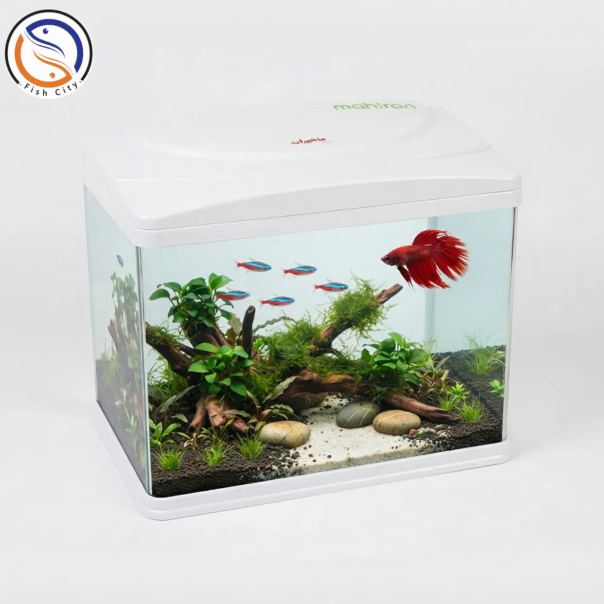 اکواریوم شرکتی برند ماهیران مدل MA-24 رنگ سفید