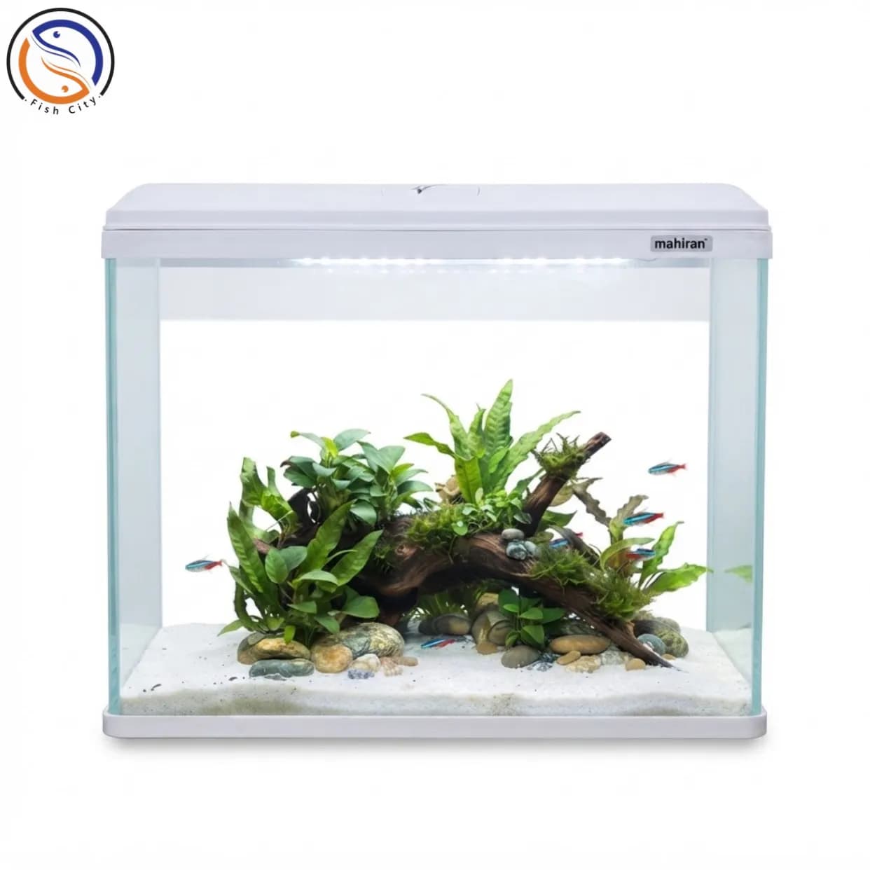 اکواریوم شرکتی ماهیران مدل MC-600