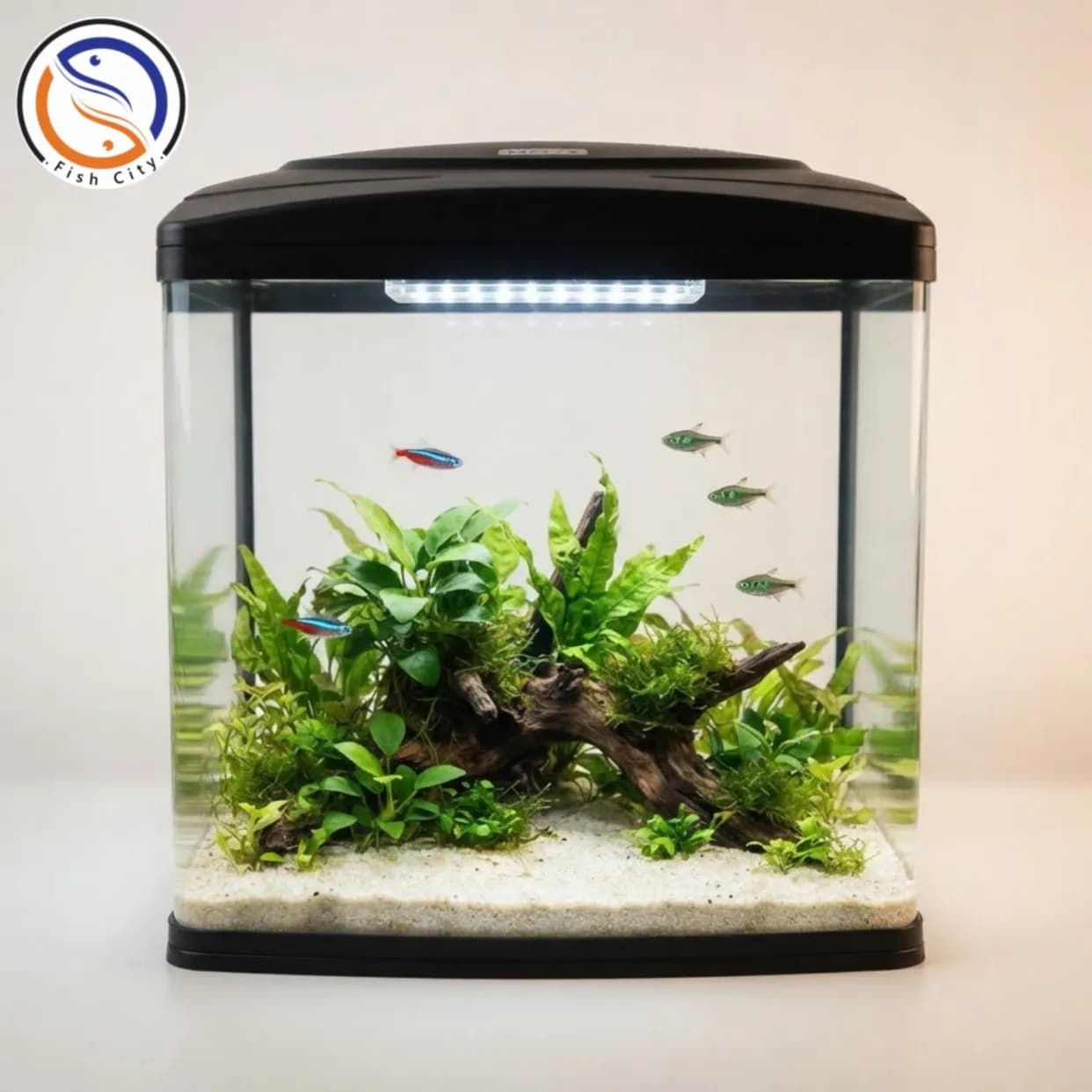 اکواریوم شرکتی ماهیران مدل MA-24 رنگ مشکی