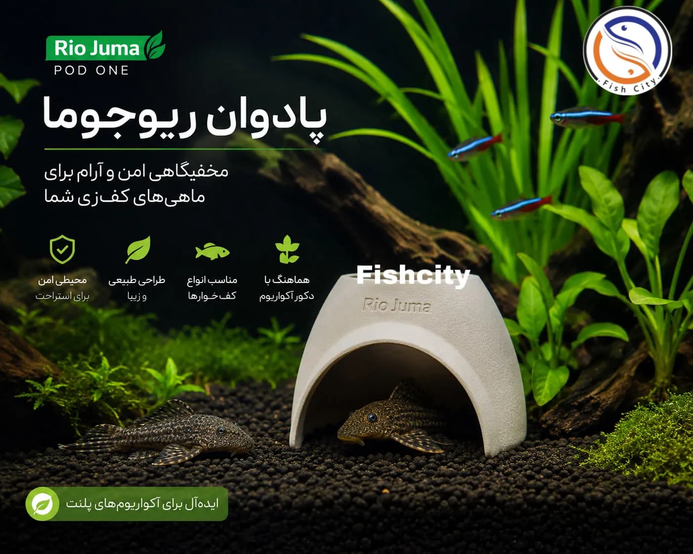 پادوان اکواریوم ریوجوما (مخفیگاه ماهیان)