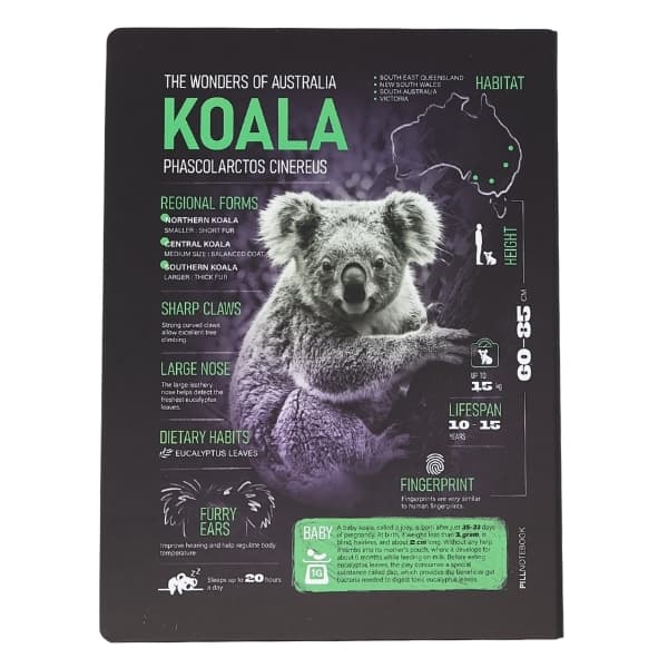 کلاسور 26 حلقه KOALA استرالیا پیل (PILL)