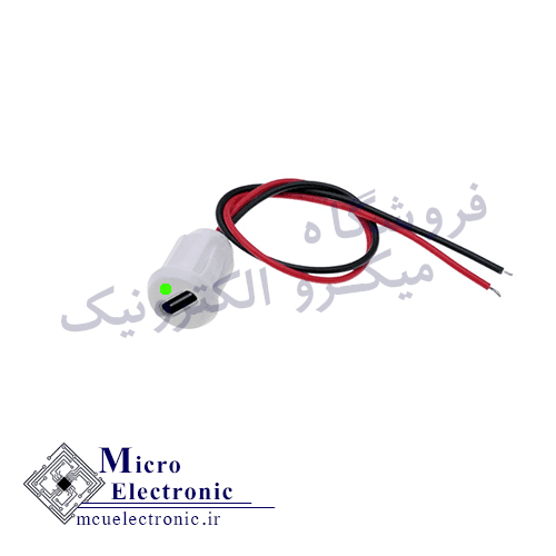 شارژر باتری لیتیومی Type-C چراغ‌دار با کانکتور مادگی فشاری سفید
