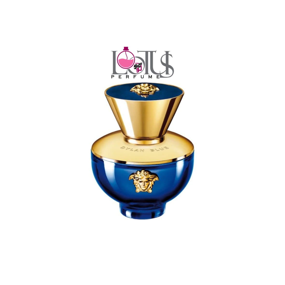 عطر ادکلن ورساچه دیلان بلو زنانه از برند لوتوس | Versace Pour Femme Dylan Blue