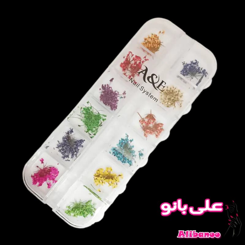 دیزاین گل خشک ۱۲ عددی