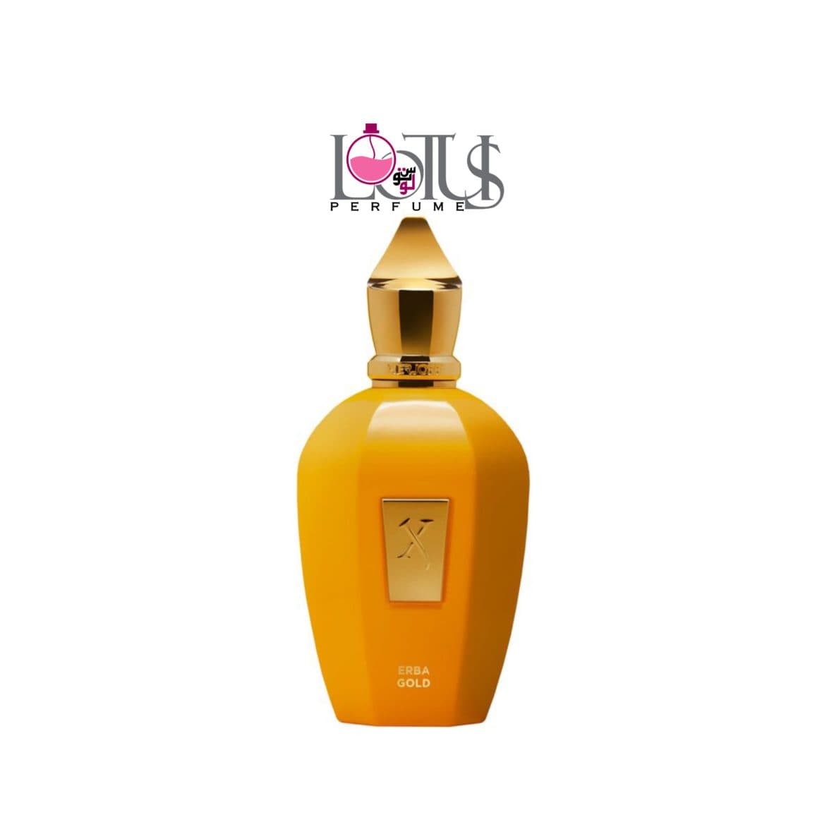 عطر ادکلن زرجف اربا گلد از برند لوتوس | XerJoff Erba Gold
