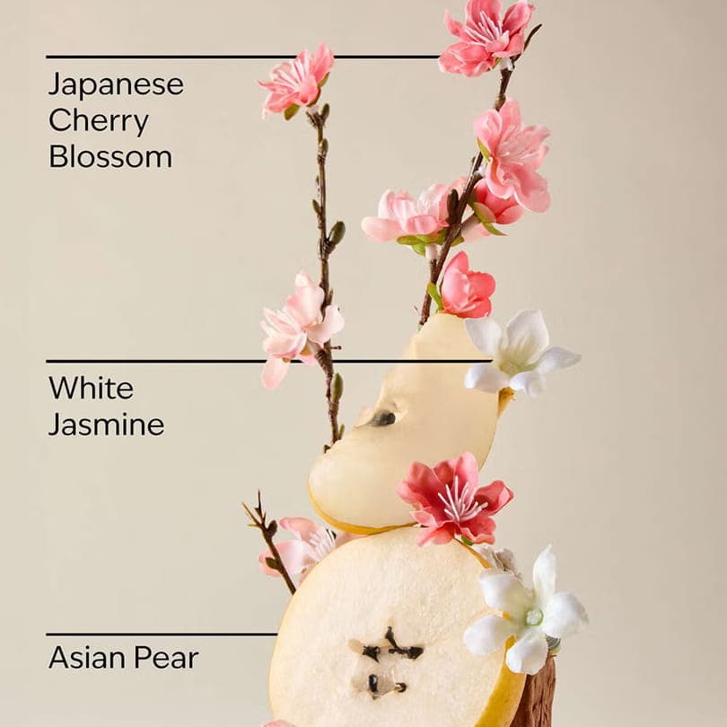 کره بدن و بالم بث اند بادی مدل Japanese Cherry Blossom — تصویر ۳