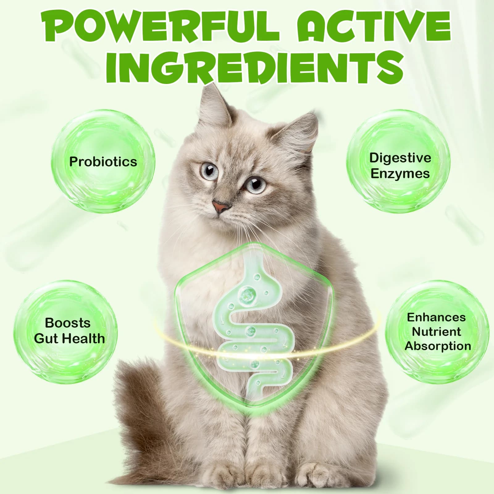 قطره 3 در1 پروبیوتیک گربه اویمال _ Oimmal cat milk 3in1 probiotic — تصویر ۴