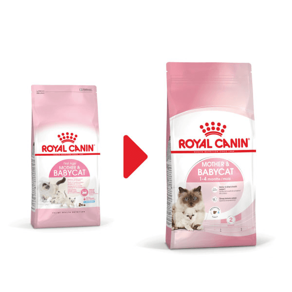 غذای مادر اند بیبی رویال کنین – Royal Canin Mother and Baby Cat 400gr — تصویر ۳