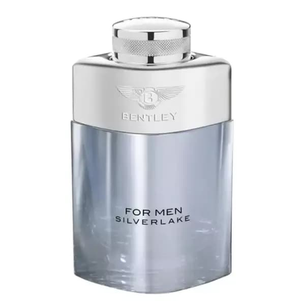 عطر ادکلن بنتلی سیلور لیک(۱۰۰ میل) خنک و روح‌بخش آقایانه بنتلی_Bentley — تصویر ۳