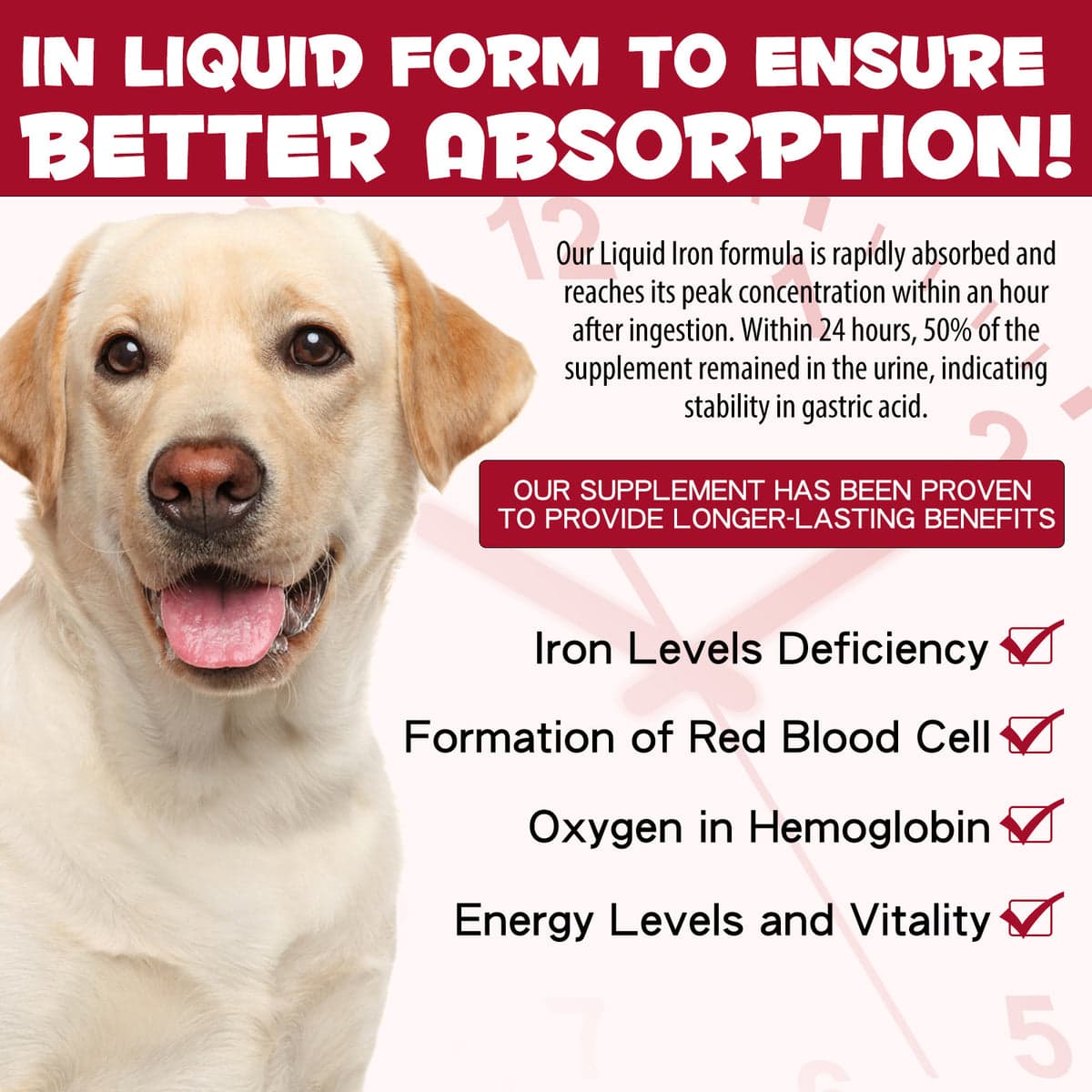 قطره آهن سگ اویمال _ Oimmal dog liquid iron — تصویر ۴