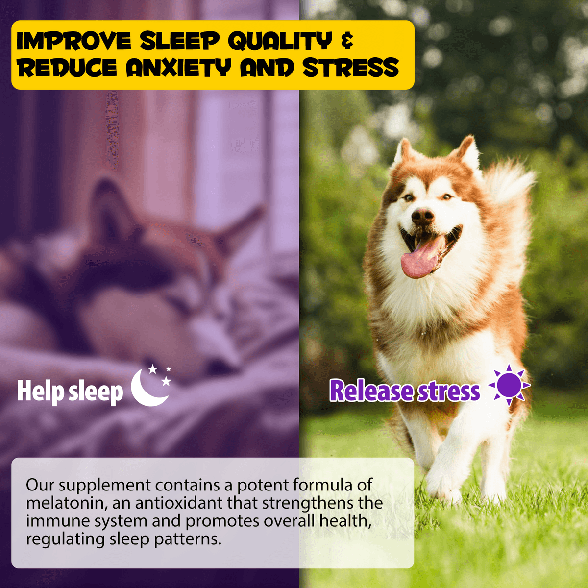 قطره کمک به خواب سگ اویمال _ Oimmal dog sleep aid — تصویر ۷