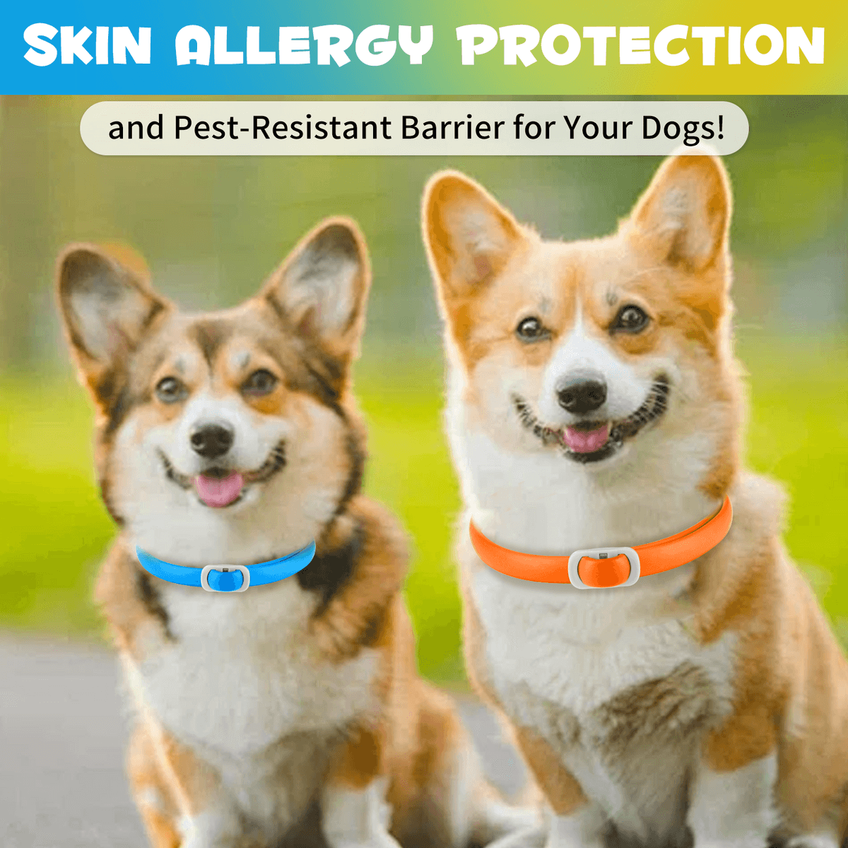 قلاده ضد کک و کنه 1عددی آبی سگ اویمال _ Oimmal flea & tick collar dog — تصویر ۷