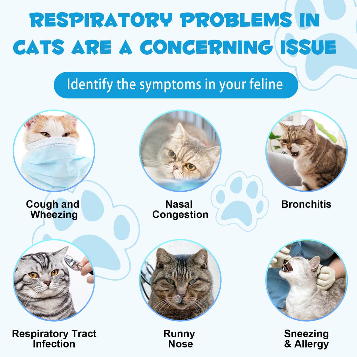 قطره درمان سرفه گربه اویمال _ Oimmal cat Kennel Cough Treatment — تصویر ۳