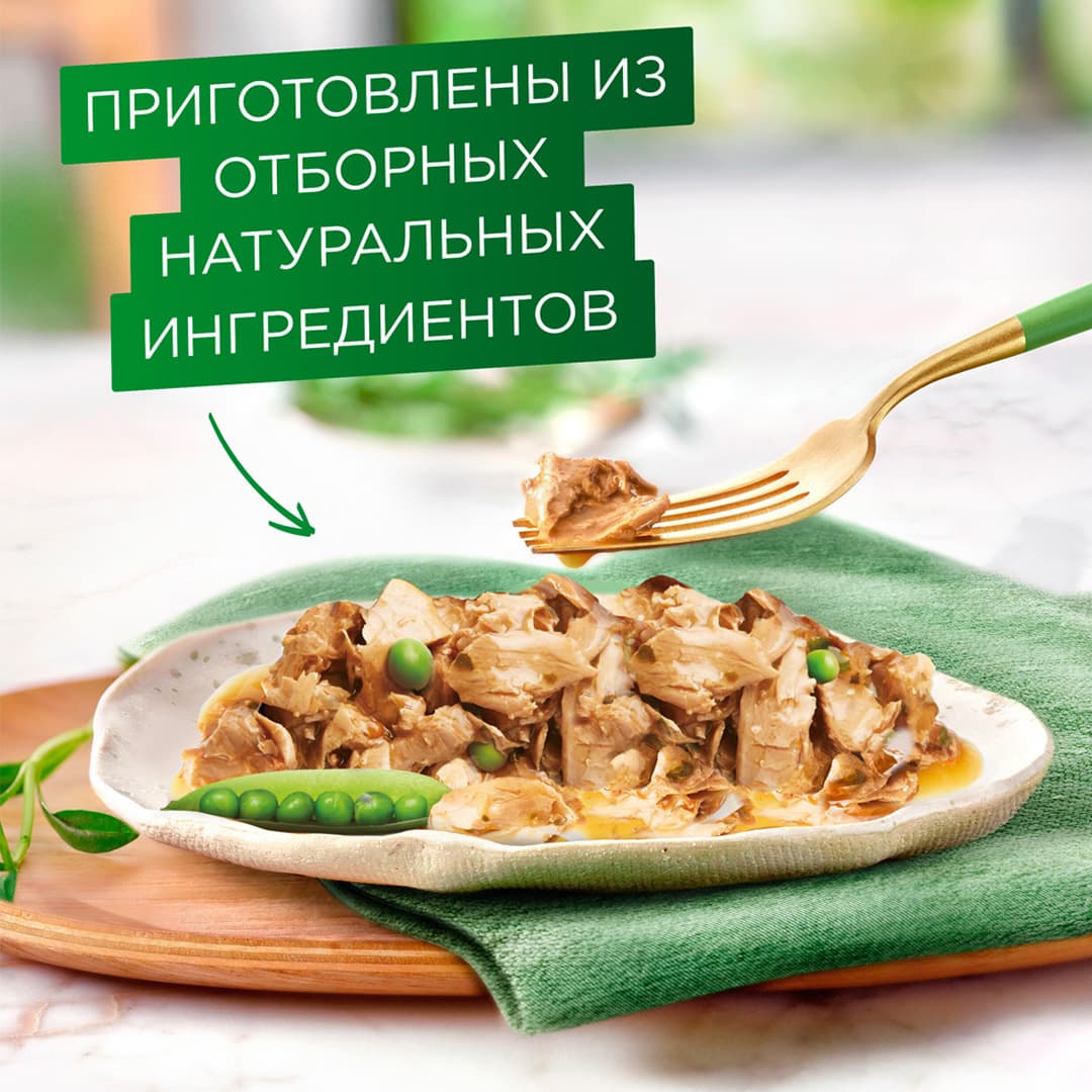 پوچ گورمت نچرال با طعم بوقلمون بخار پز و نخودفرنگی در سس – Gourmet Natural — تصویر ۳