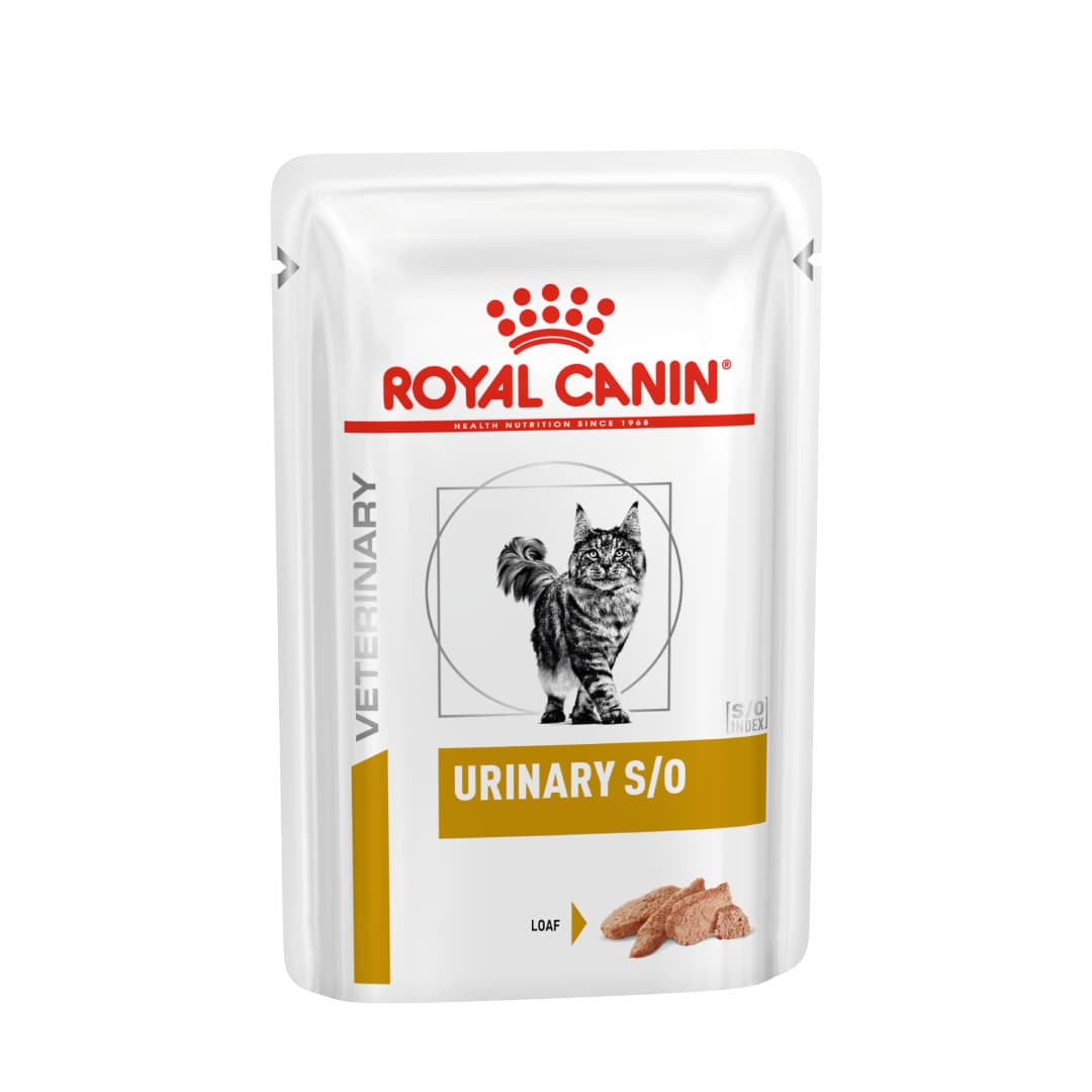 پوچ گربه یورینری اس او رویال کنین لوف– Royal Canin Urinary S/O Wet loaf