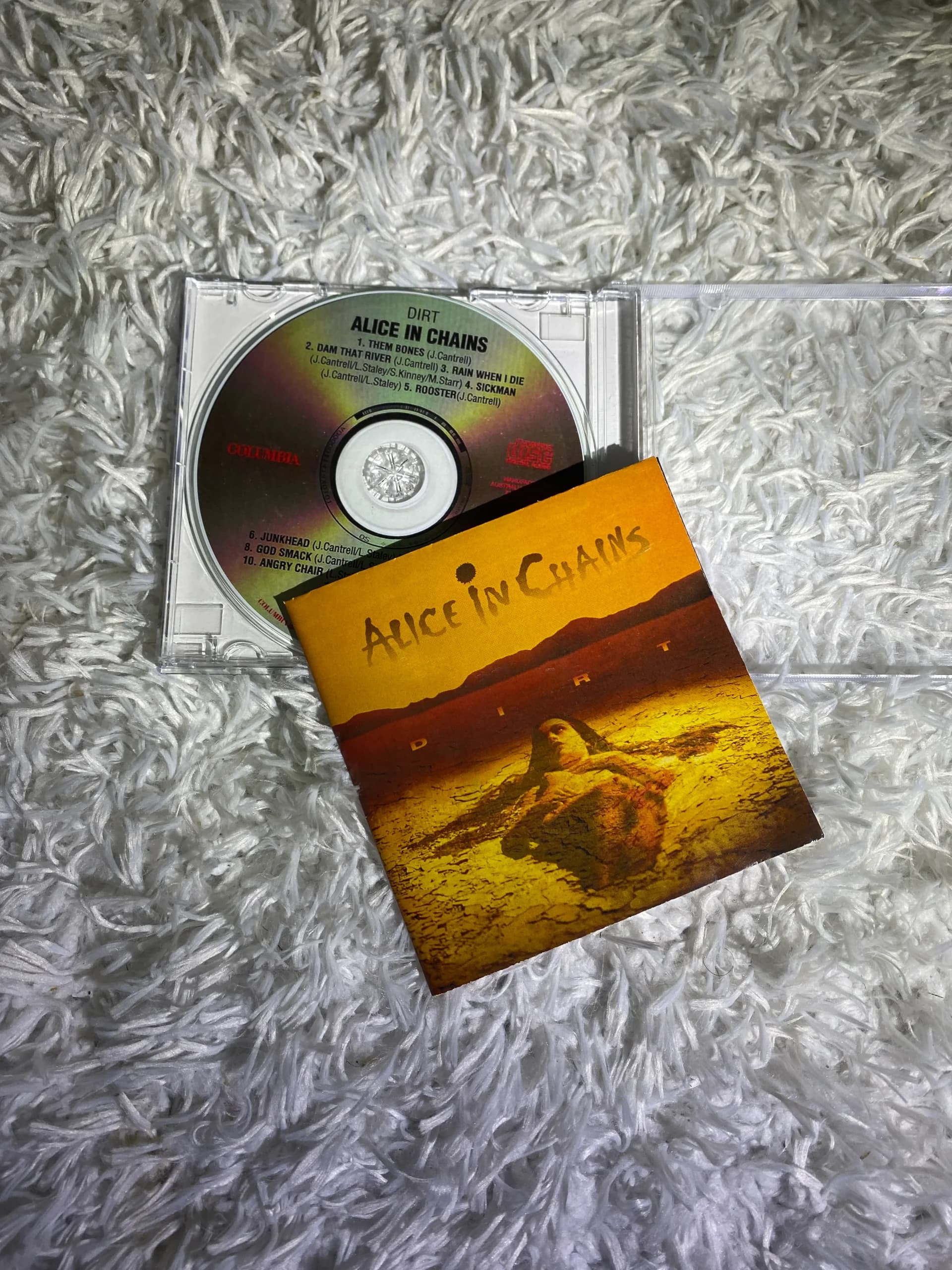 البوم dirt از alice in chains — تصویر ۲