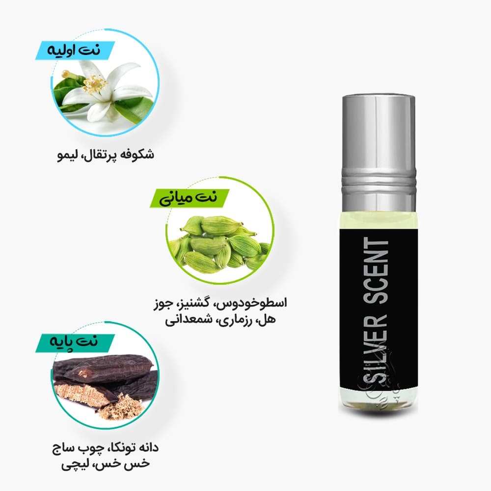 عطر سیلور سنت رایحه الجنه | مشابه سیلور سنت ژاک بوگارت — تصویر ۳