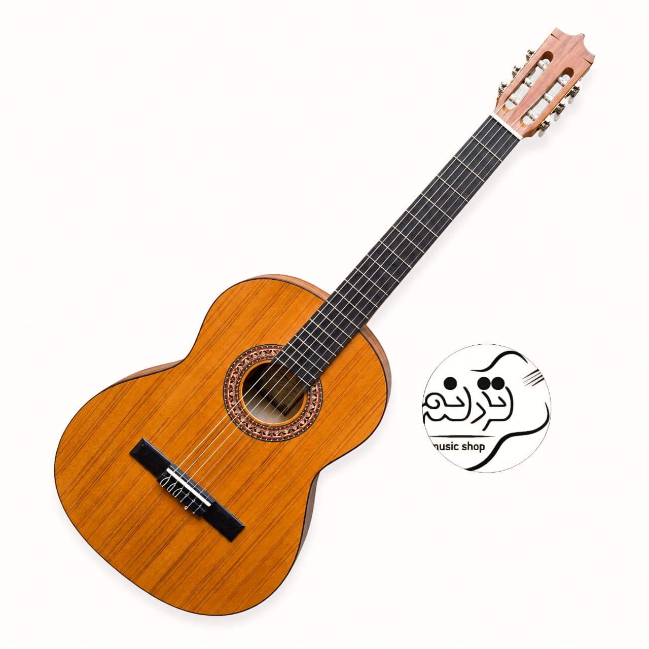 گیتار پارسی P70 + خرید قسطی