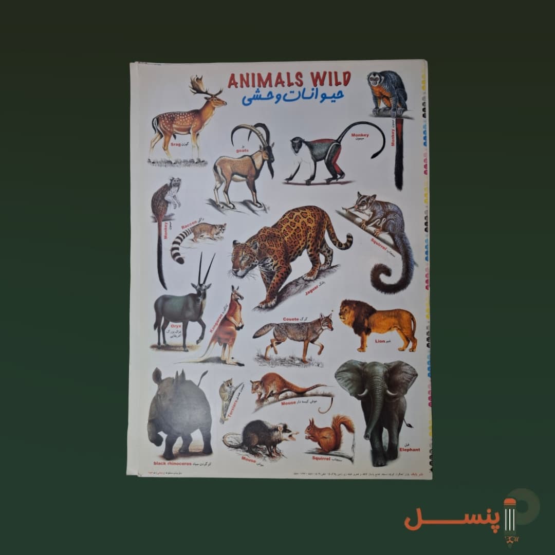برچسب آموزشی A4 — تصویر ۴