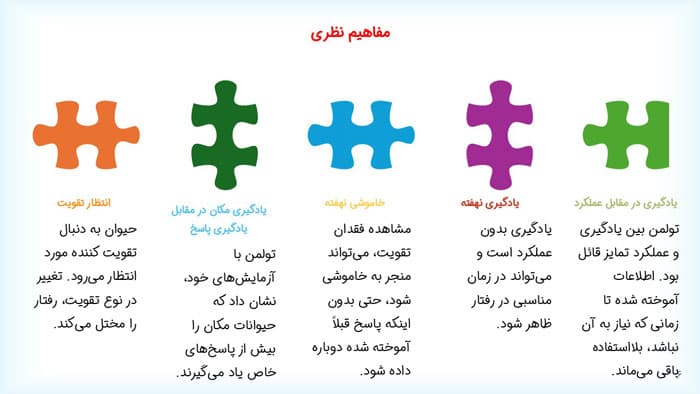 پاورپوینت ادوارد چیس تولمن | فصل 12 مقدمه ای بر نظریه های یادگیری هرگنهان — تصویر ۲