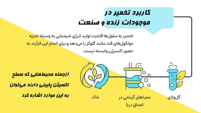پاورپوینت تخمیر چیست؟ (27430) — تصویر ۳