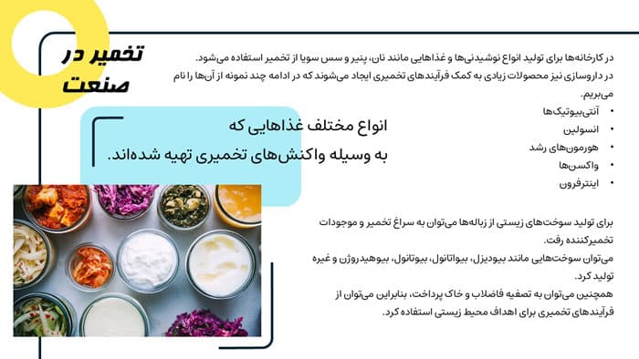 پاورپوینت تخمیر چیست؟ (27430) — تصویر ۵