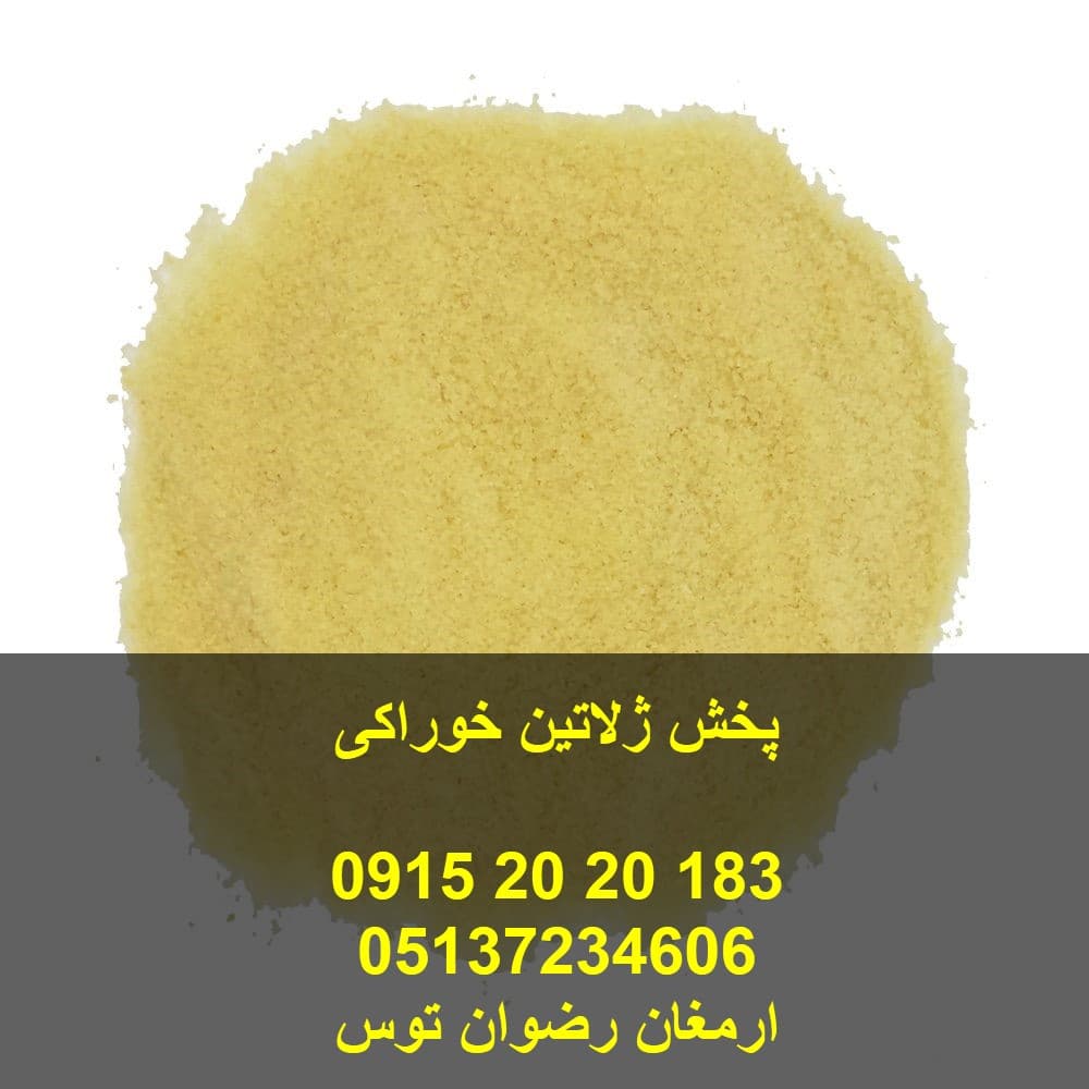 پخش ژلاتین خوراکی