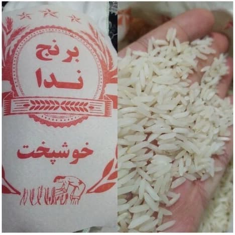 برنج ایرانی ندا خوشپخت