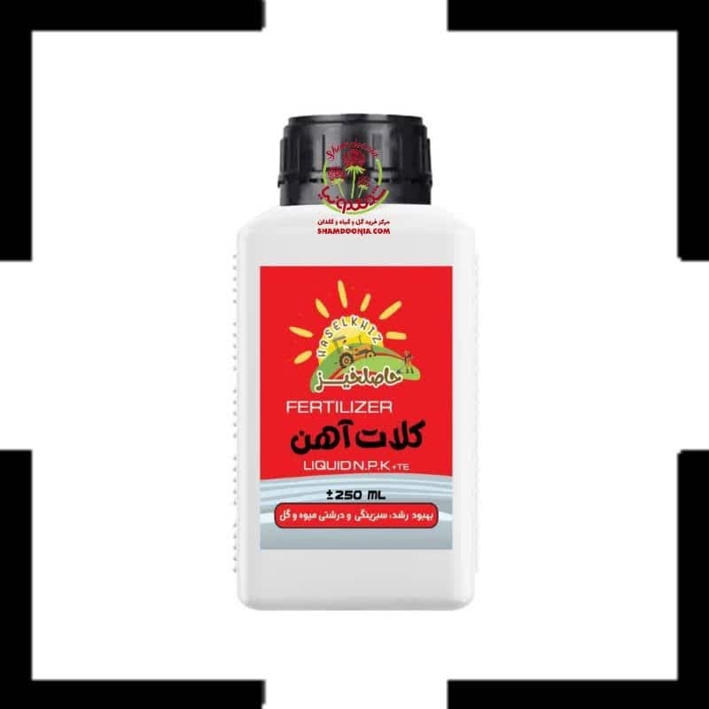 آهن مایع کلاته ۲۵۰ گرمی حاصلخیز: درمان قطعی زردی درختان مرکبات در 3 روز! معجزه برگ‌های سبز