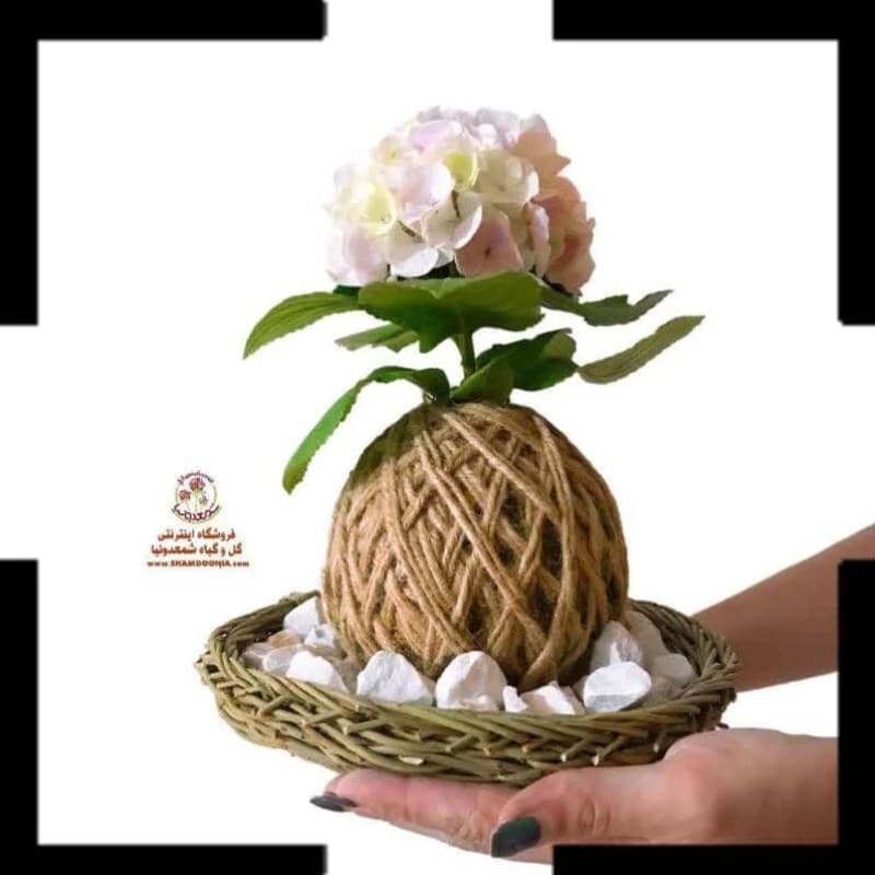 کوکداما هورتانسیا | خرید باغچه معلق ژاپنی + گل‌های فصلی خیره‌کننده | ارسال فوری