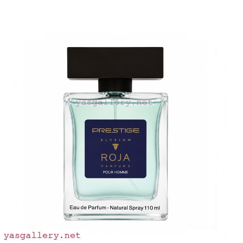 ادکلن پرستیژ مردانه مدل روژا الیزیوم Roja Elysium