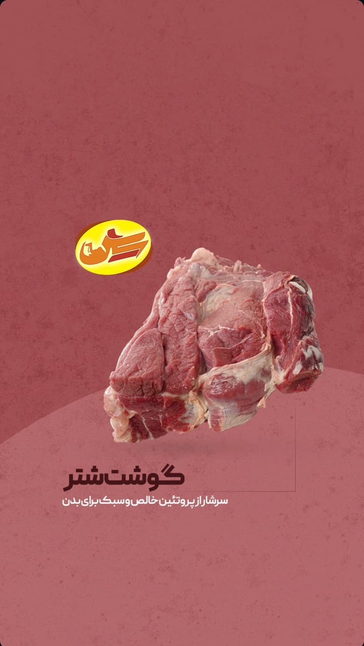 گوشت تازه بچه شتر بدون استخوان آسایش( بسته 1 کیلویی همراه با یخدان)(شامل پس کرایه)