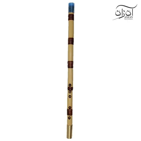 نی حسن کیانی نژاد