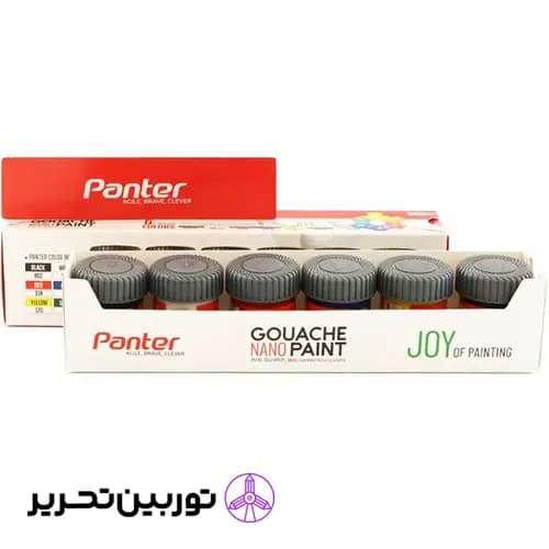 نانو پوشرنگ گواش ست 6 رنگ