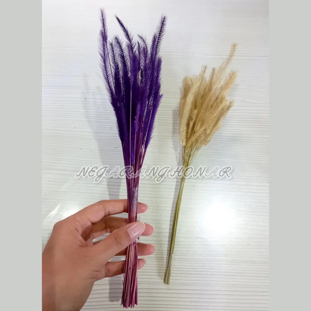 گل خشک قیطونی